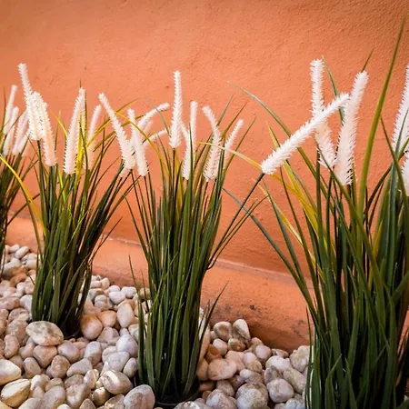 Vivi Homes - Boho Sunrise Alminar Pool, Garden & Terrace