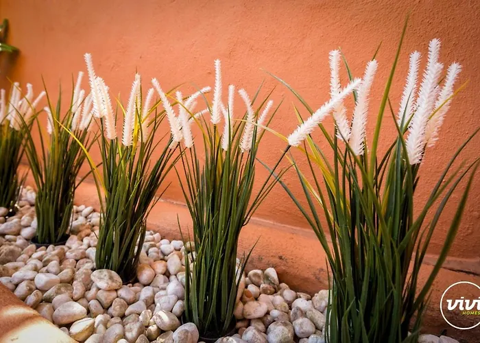 Vivi Homes - Boho Sunrise Alminar Pool, Garden & Terrace